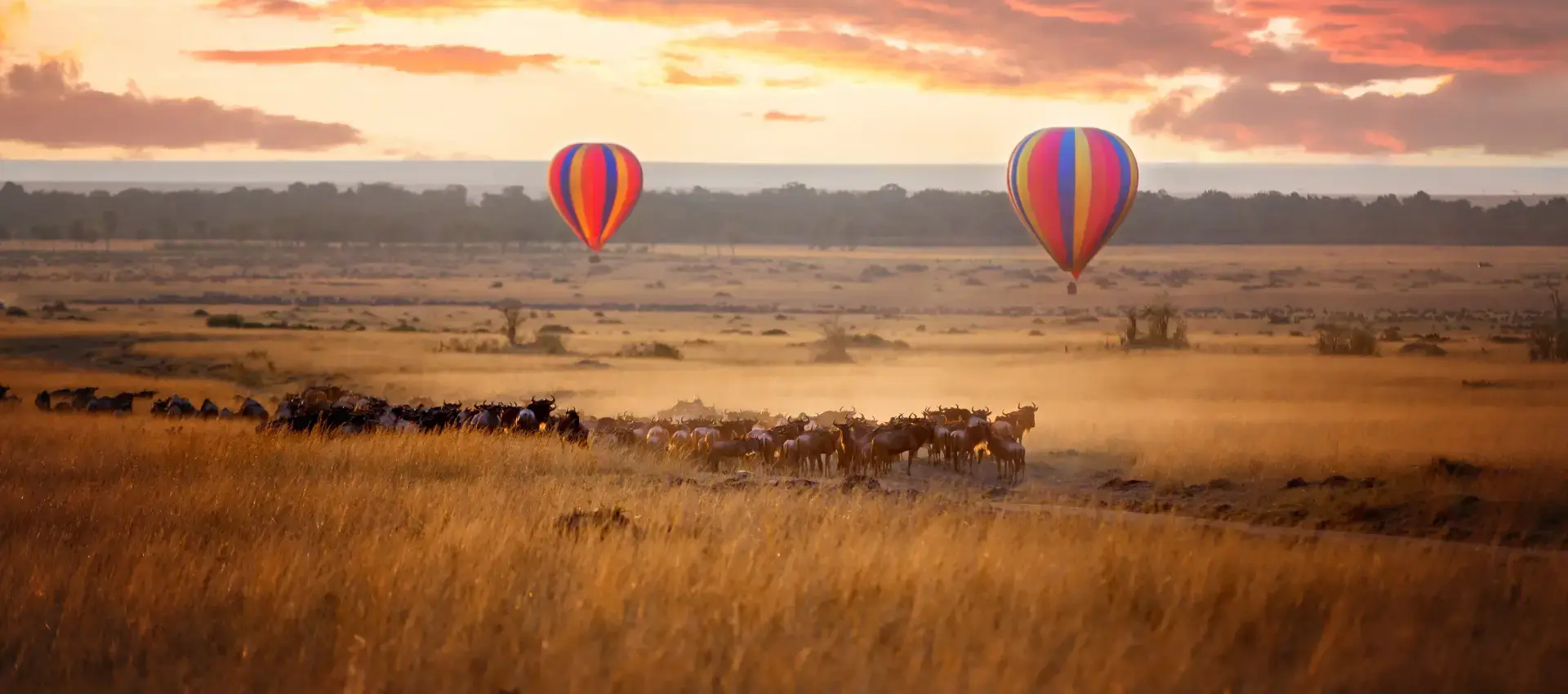 Masai Mara safari: mongolfiere al tramonto sulla Grande Migrazione con migliaia di gnu
